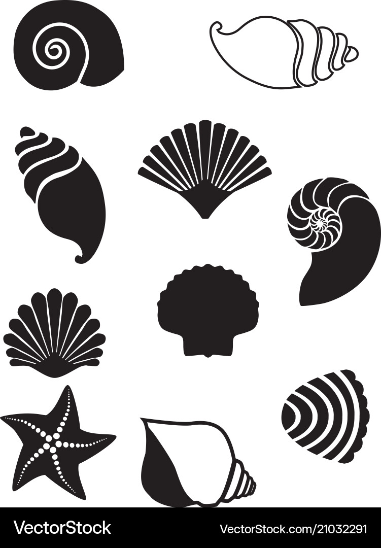 Sea Shell Collection Royalty Free Vector Image