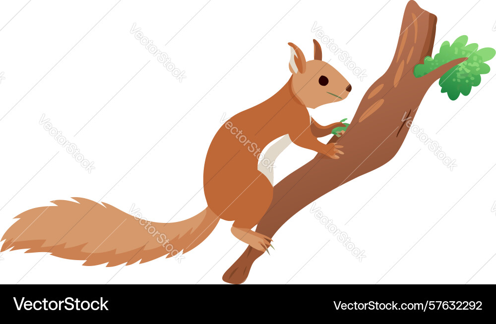 Agile squirrel climbing a tree dynamic woodland Vector Image