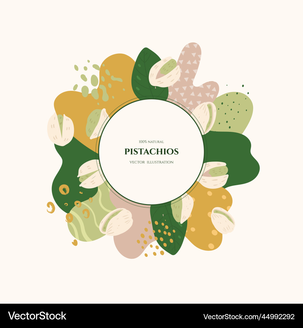 Frame with pistachios and abstract elements vector image