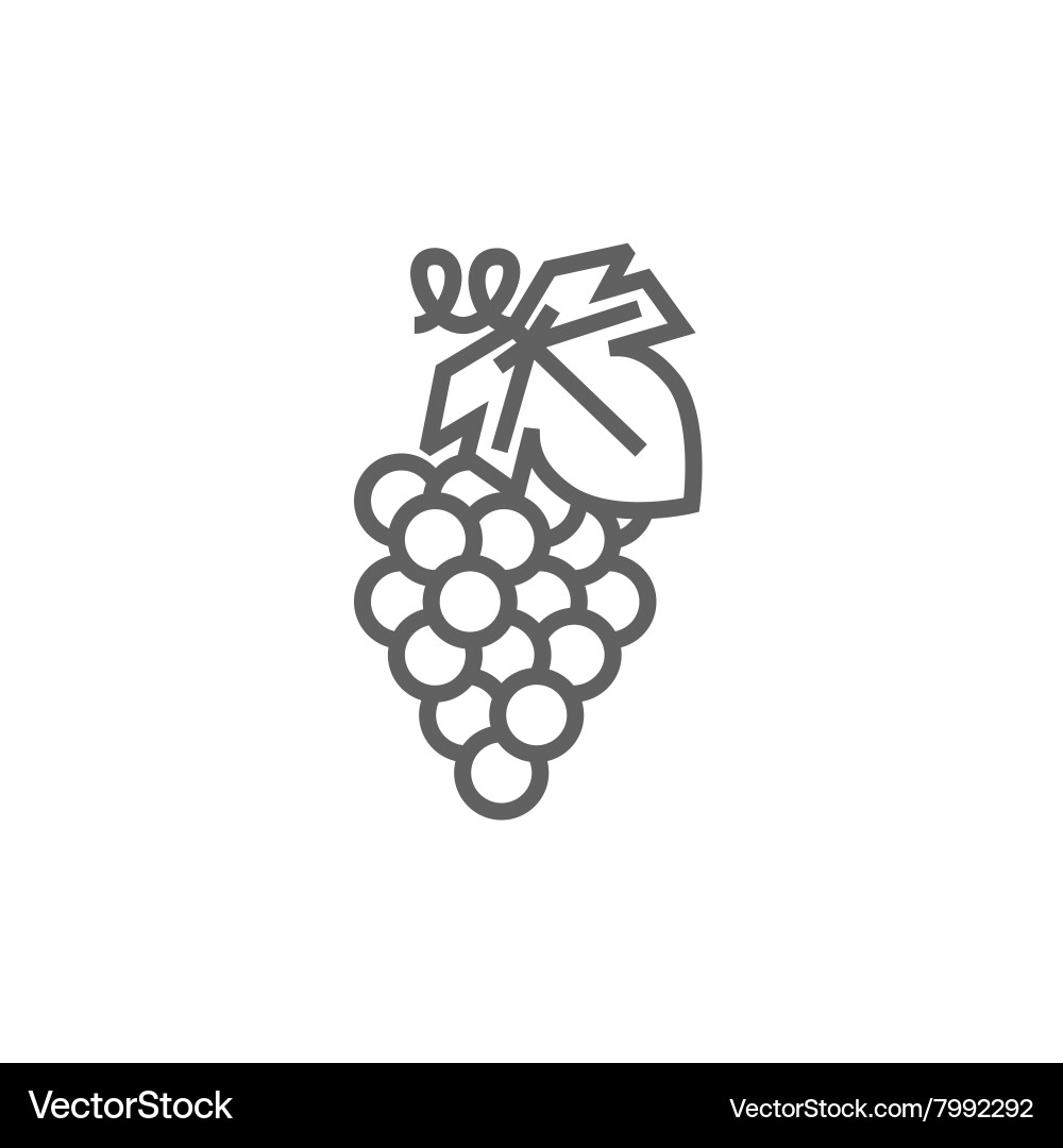 Grape line icon Vector Image