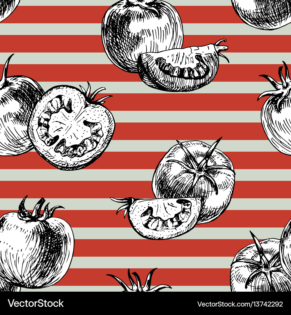 Tomato Pattern - Retro Background vector image