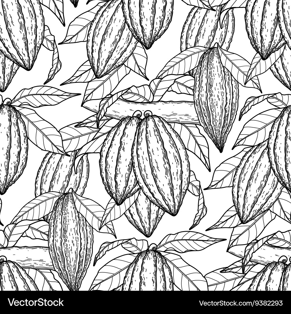 Cocoa Branch Pattern vector image