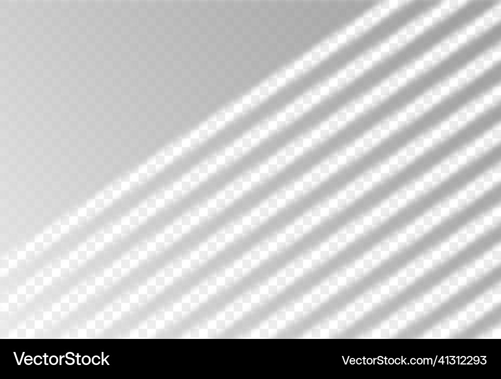 Overlay shadow from window blinds on floor Overlay shadow from window blinds on floor vector image