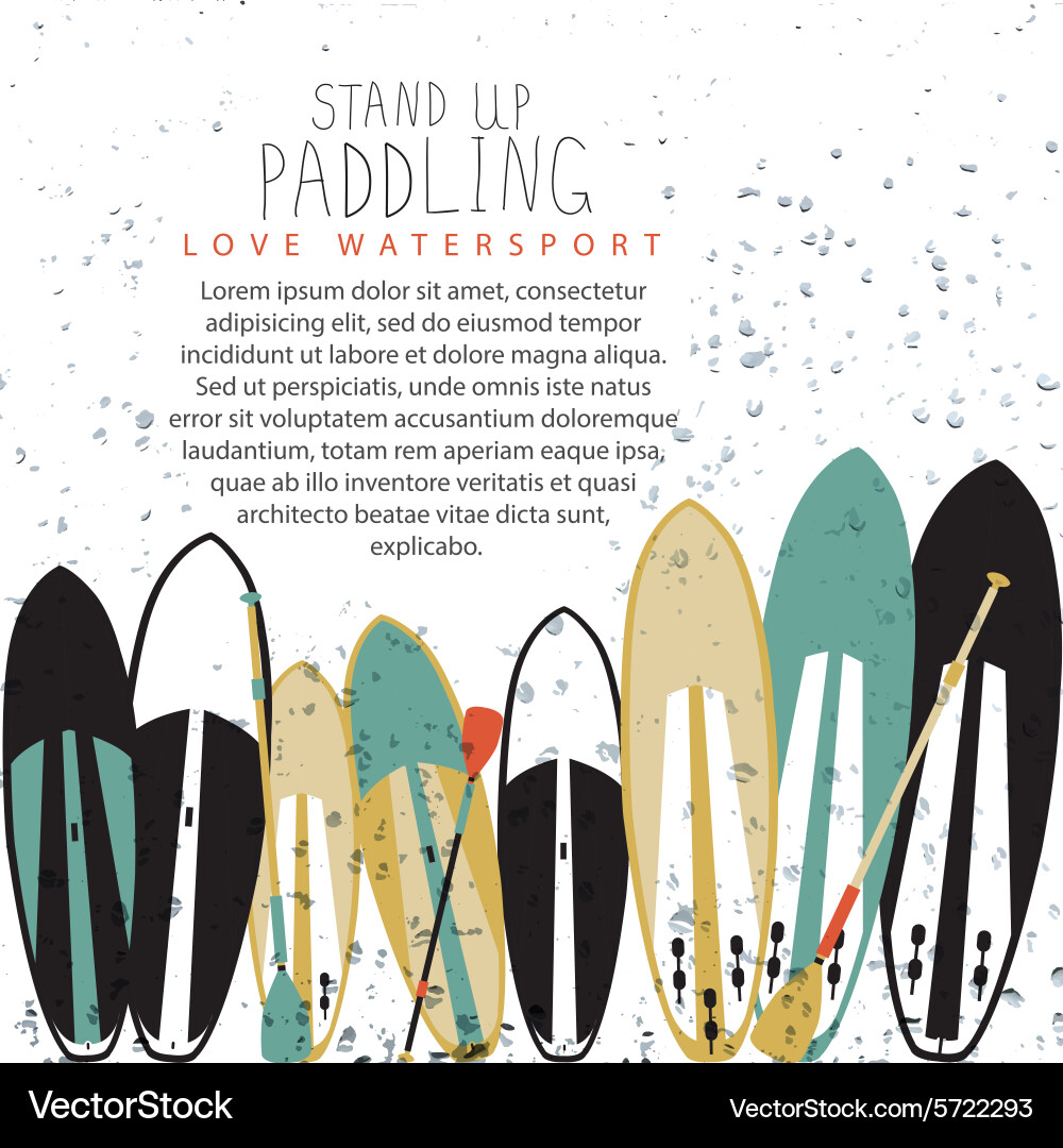 Stand up paddle set in flat design style vector image