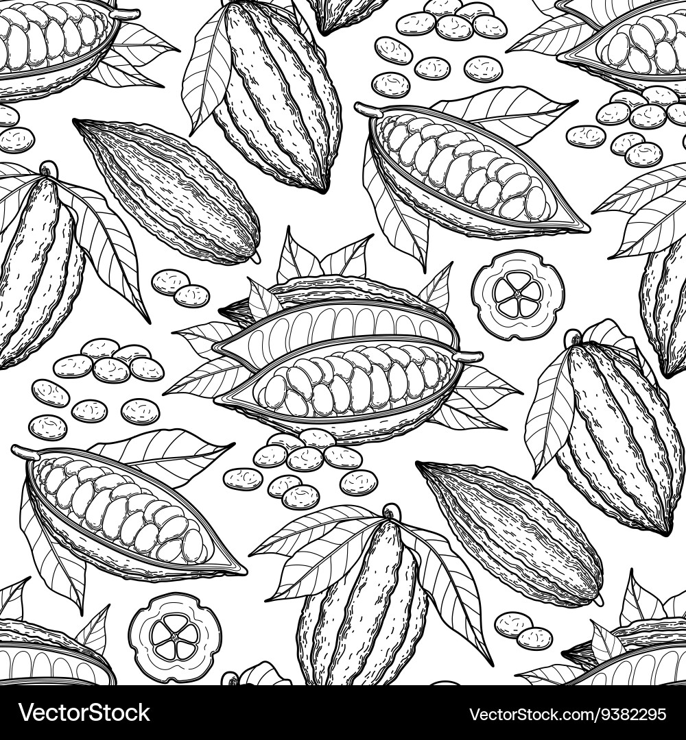 Cocoa Bean Pattern vector image