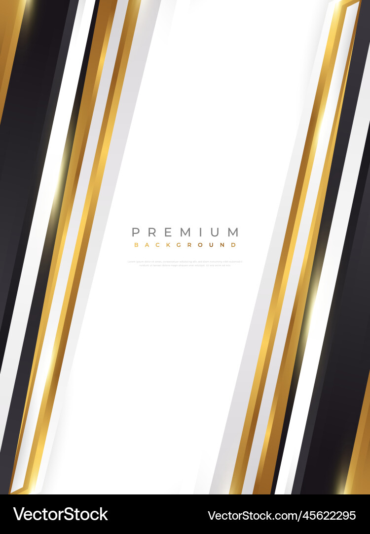 Luxury and elegant black white gold background Vector Image
