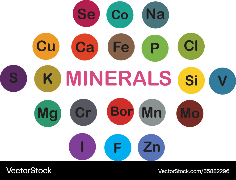 Minerals microelements and macro elements useful Minerals microelements and macro elements useful vector image
