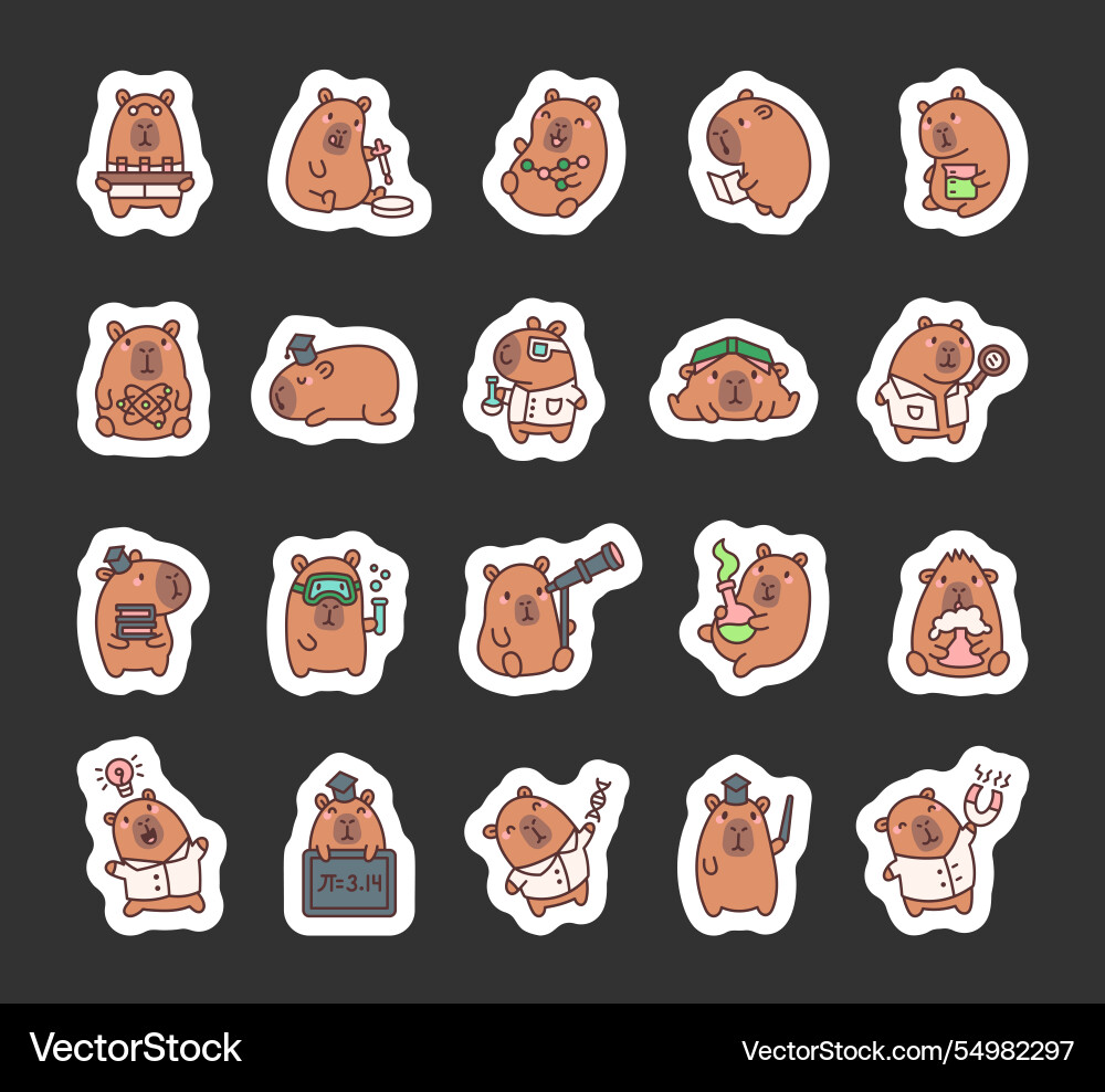 Capybara science experiments set Capybara science experiments set vector image