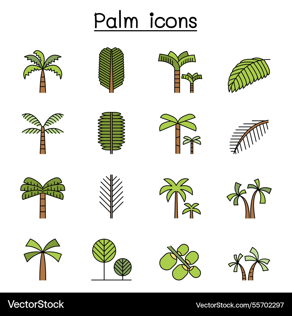 Palm tree and coconut trees icon set in colorline vector image