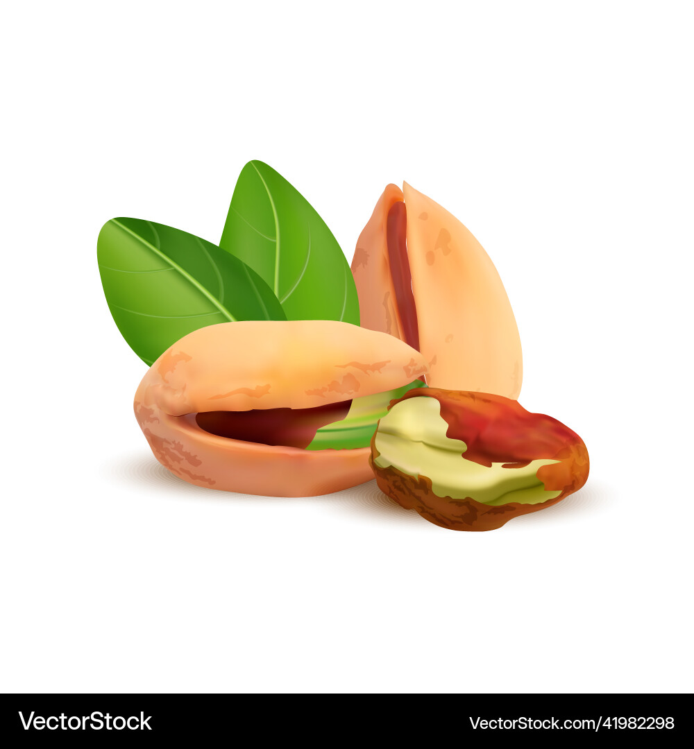Detailed Pistachio Nutshell & Kernel Set Vector Image