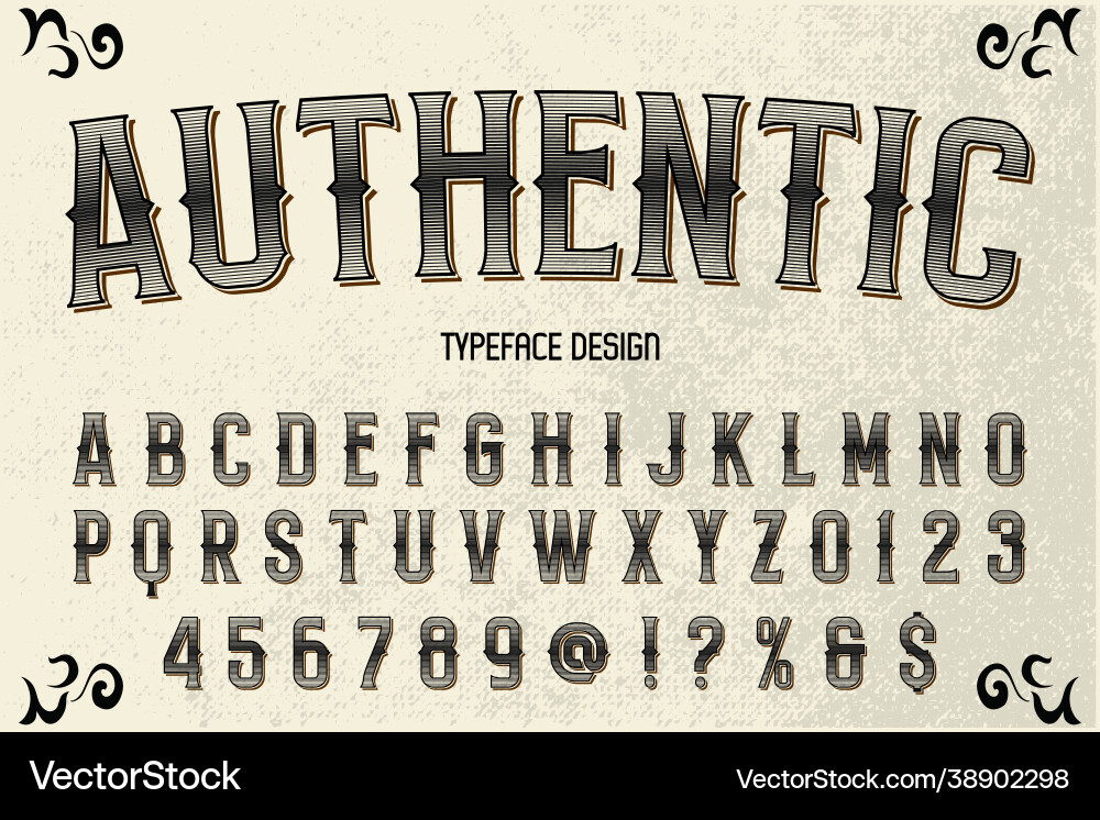 Typeface classic lettering white style alphabet Typeface classic lettering white style alphabet vector image