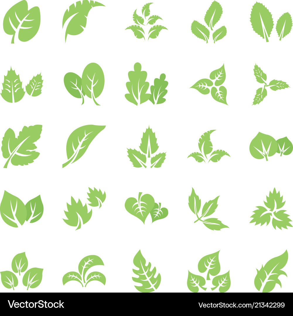 Leaf flat icon pack Royalty Free Vector Image - VectorStock