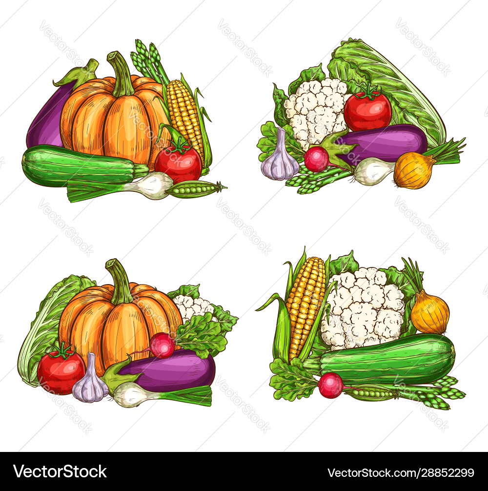Natural farm vegetables harvest Natural farm vegetables harvest vector image