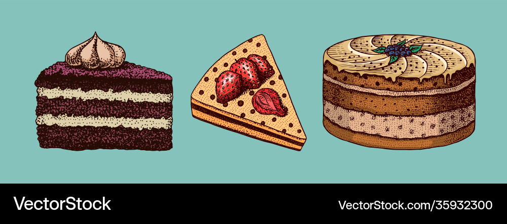Birthday cake fruit dessert or tart hand drawn Birthday cake fruit dessert or tart hand drawn vector image
