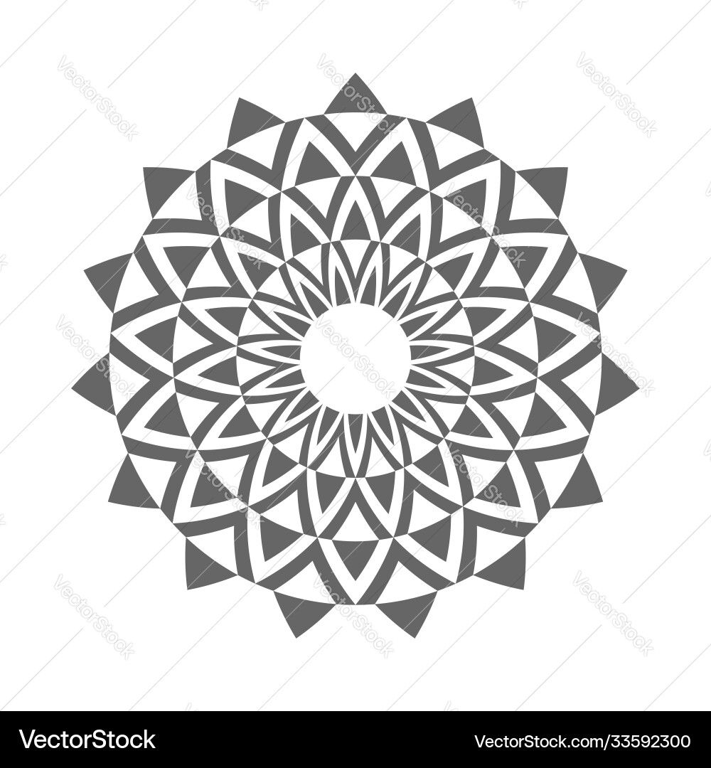 Geometric Circle Pattern vector image