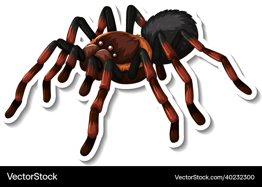 Wild spider cartoon sticker on white background Wild spider cartoon sticker on white background vector image