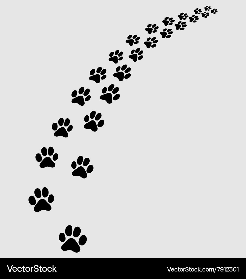 Cat Paw Trail vector image