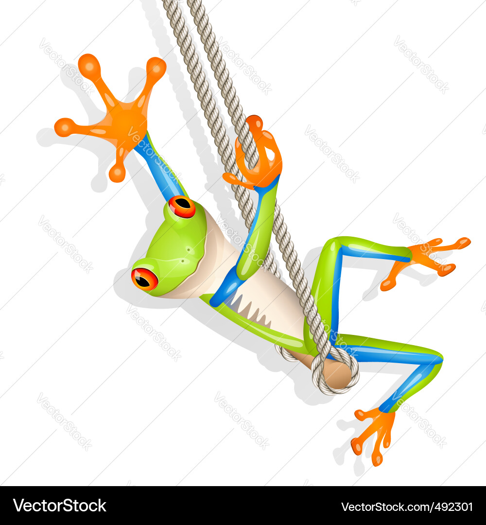 Cute Frog on a Swing vector image