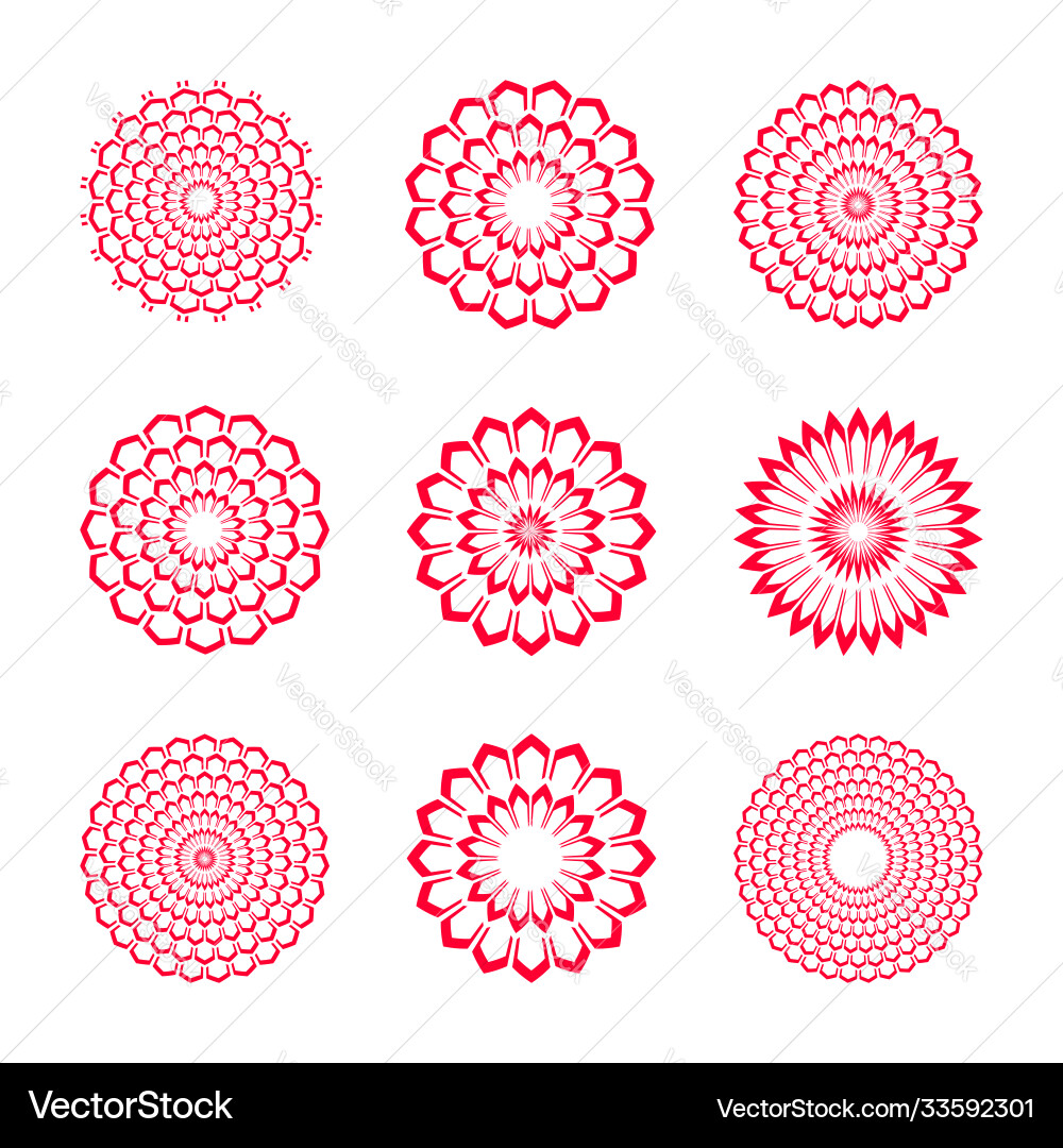 Decorative Circle Patterns vector image