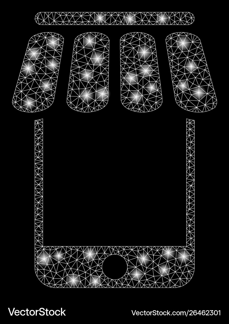 Flare mesh network webstore with spots Vector Image