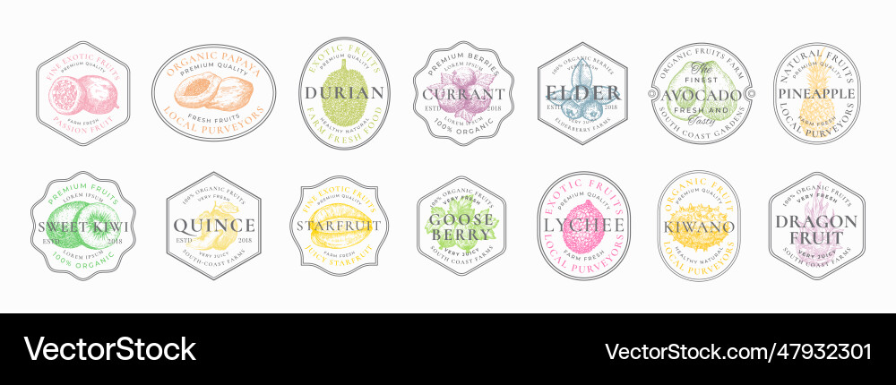 Fruits frame badges logo templates collection vector image