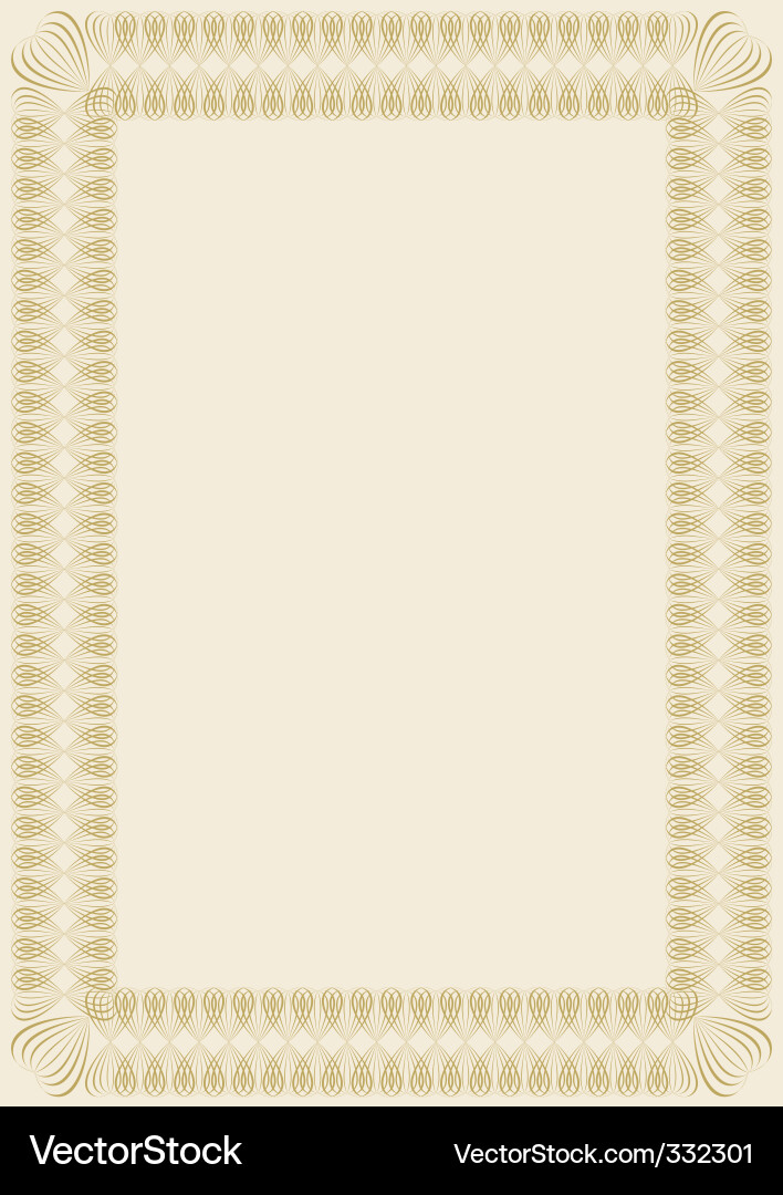 Intricate Border Pattern vector image