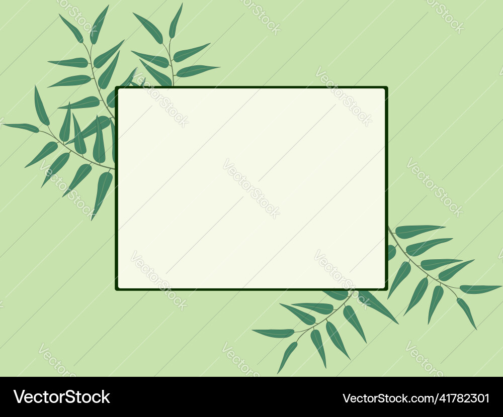 Light green background with square frame vector image
