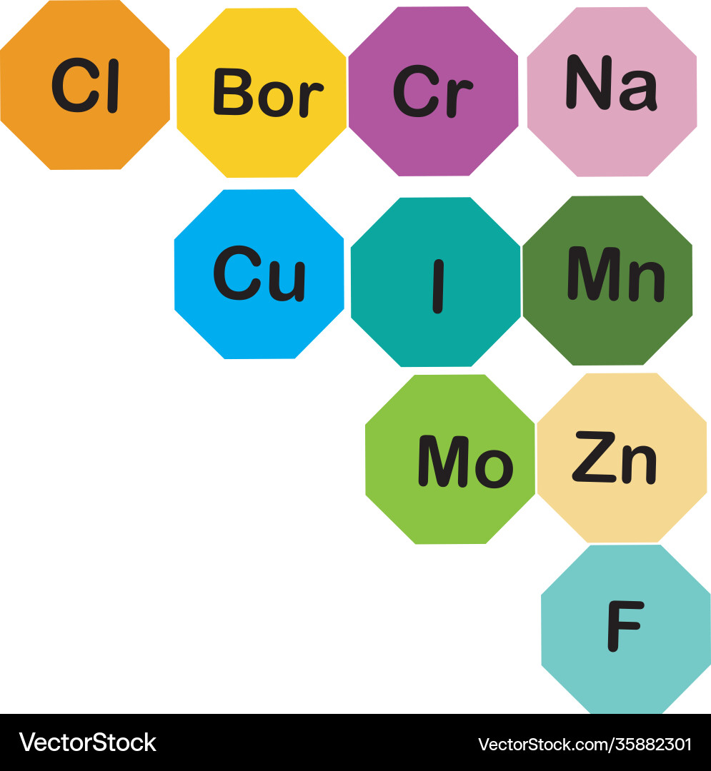 Minerals microelements and macro elements useful vector image