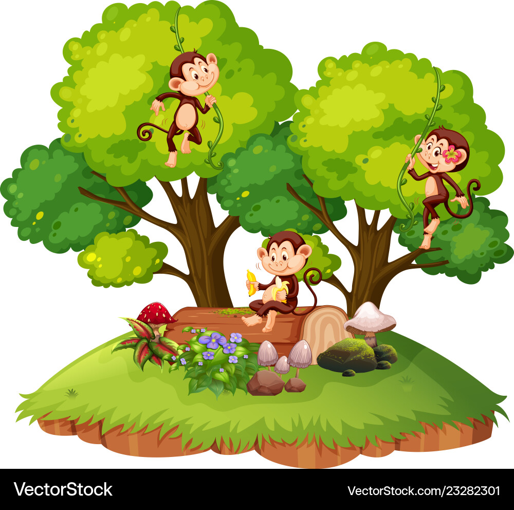 Monkey on isolated nature Royalty Free Vector Image