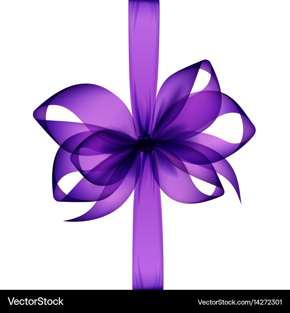 Purple Bow and Ribbon on White Vector Image