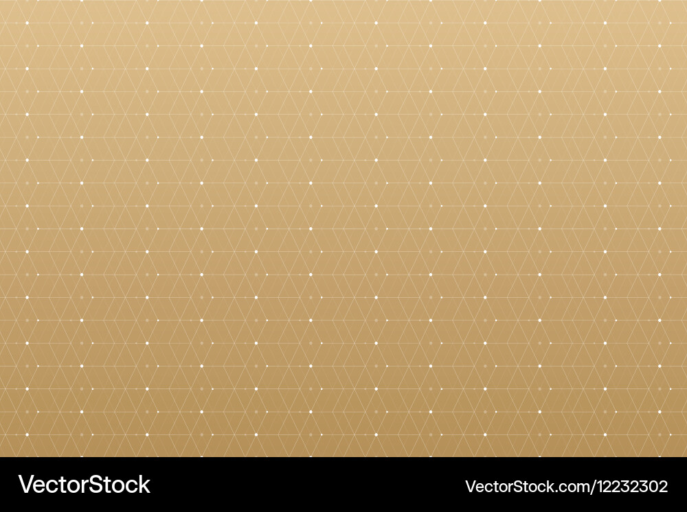 Geometric pattern with connected lines and dots vector image