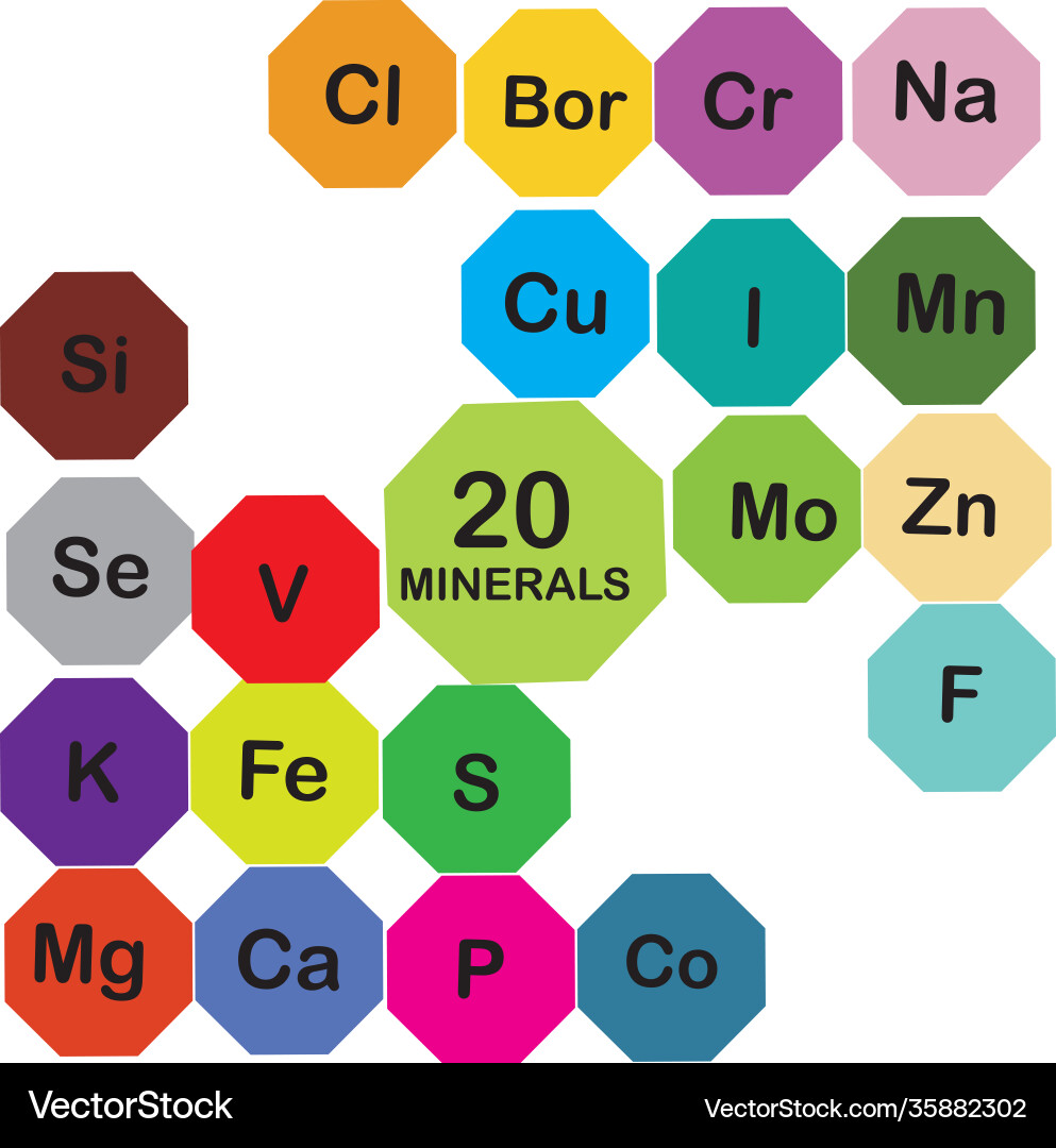 Minerals microelements and macro elements useful vector image