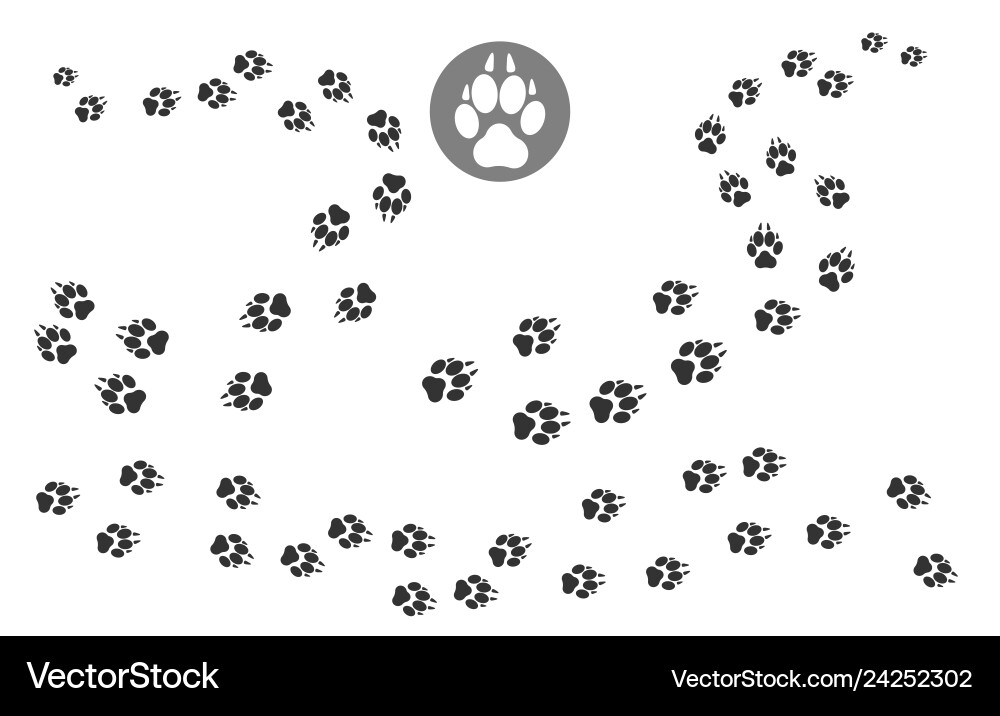 Paw Print Track Pattern vector image