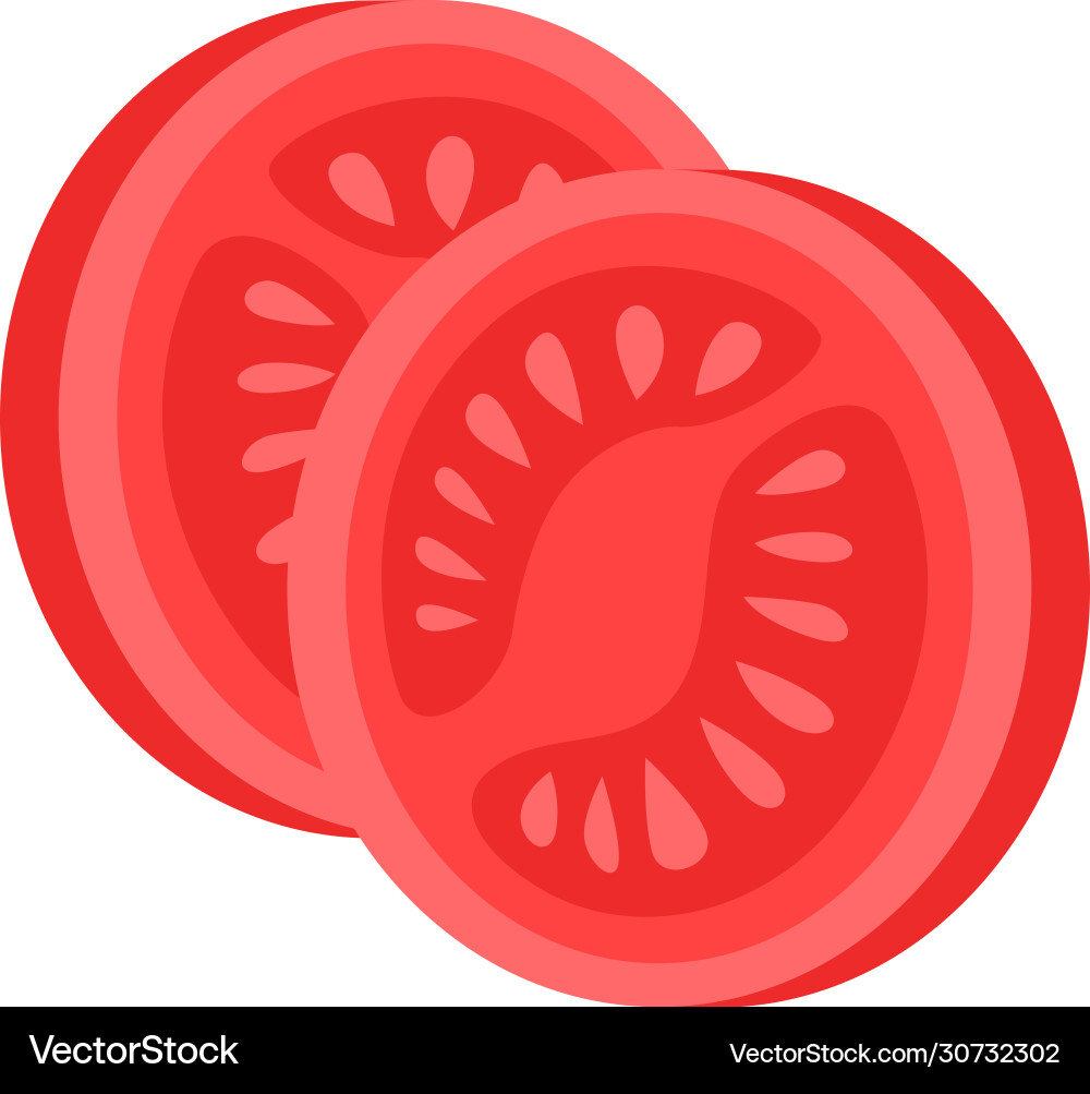 Set different tomatoes isolated on background vector image