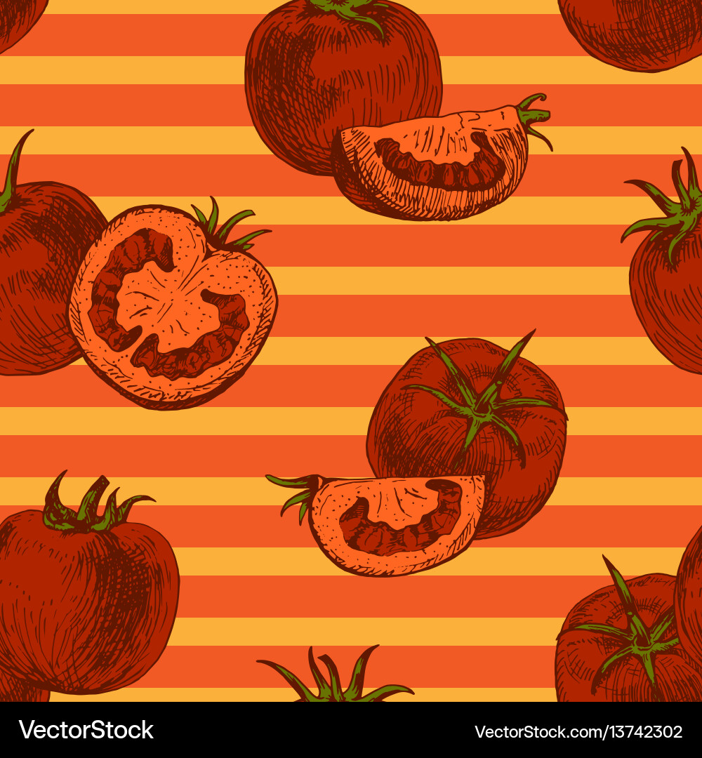 Tomato Pattern - Retro Background vector image