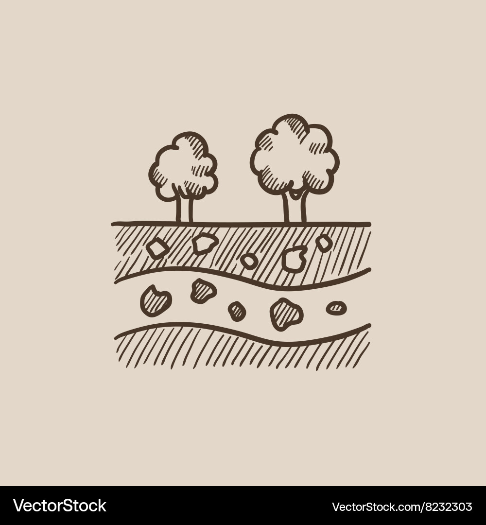 Cut of soil with different layers and trees on top vector image