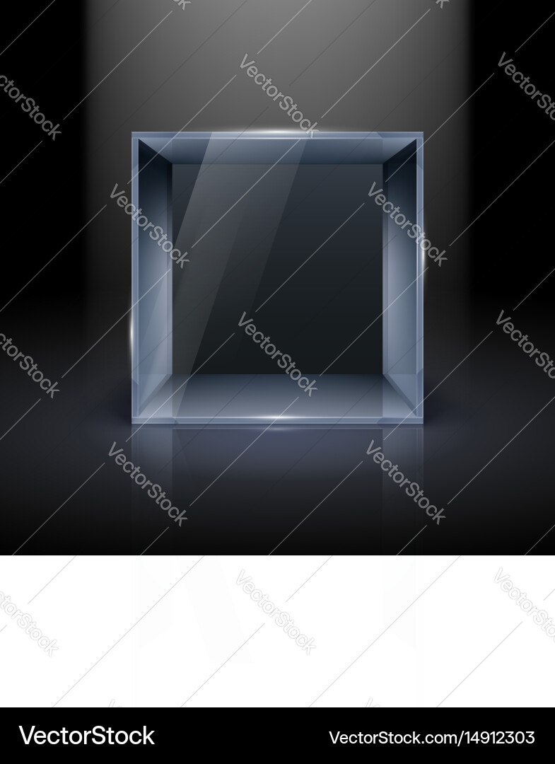 Empty glass showcase in cube form for presentation vector image