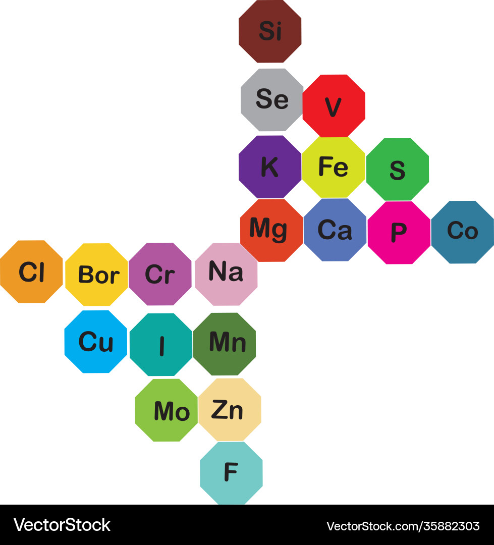 Minerals microelements and macro elements useful Minerals microelements and macro elements useful vector image