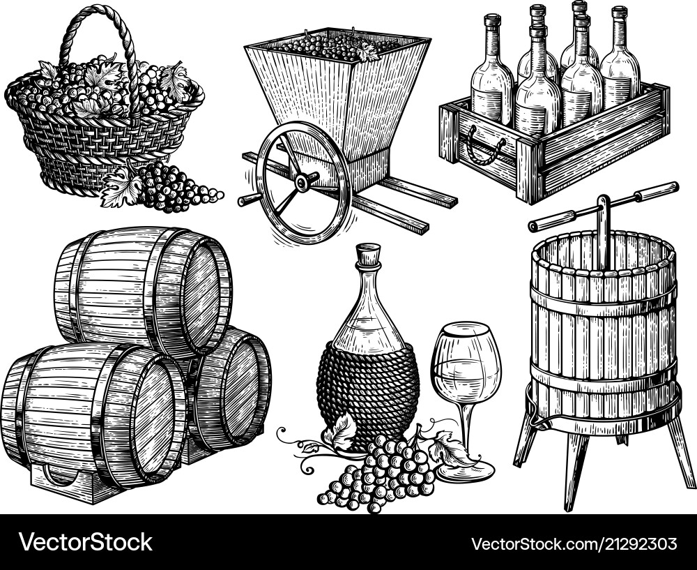 Wine Sketch Set - Grapes & Bottles vector image