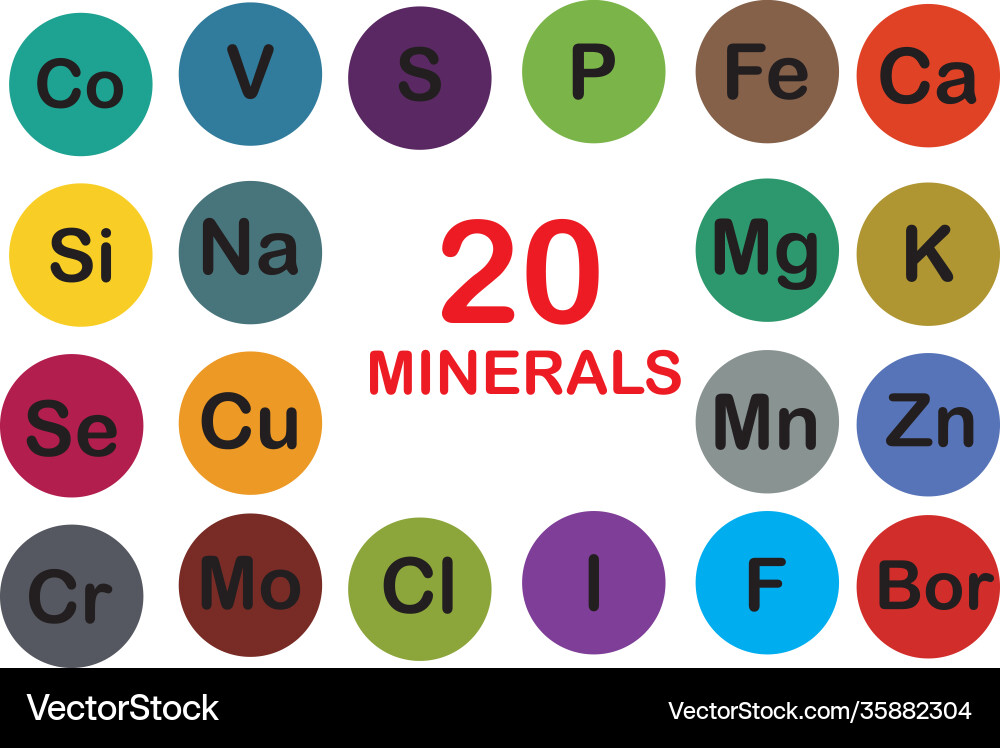 Minerals microelements and macro elements useful Minerals microelements and macro elements useful vector image