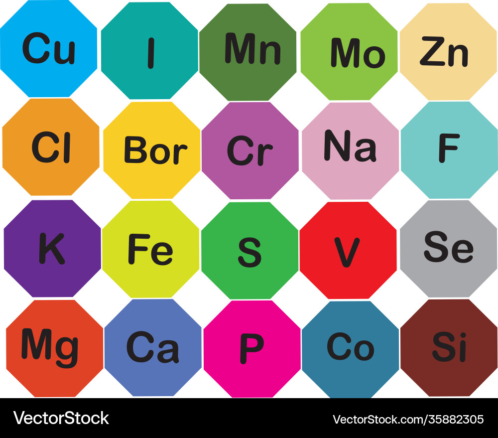 Minerals microelements and macro elements useful Minerals microelements and macro elements useful vector image
