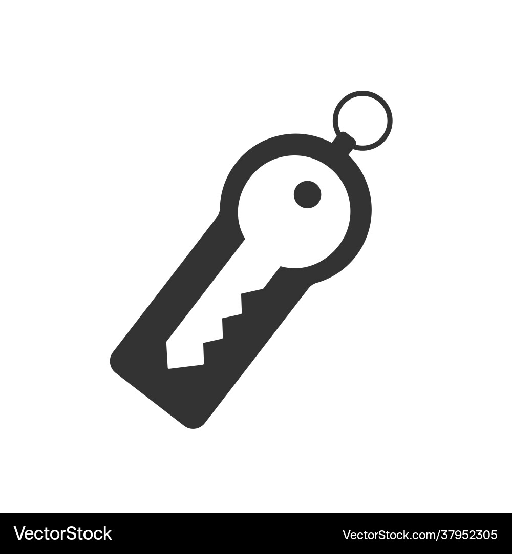 Security token line icon on white background key Security token line icon on white background key vector image