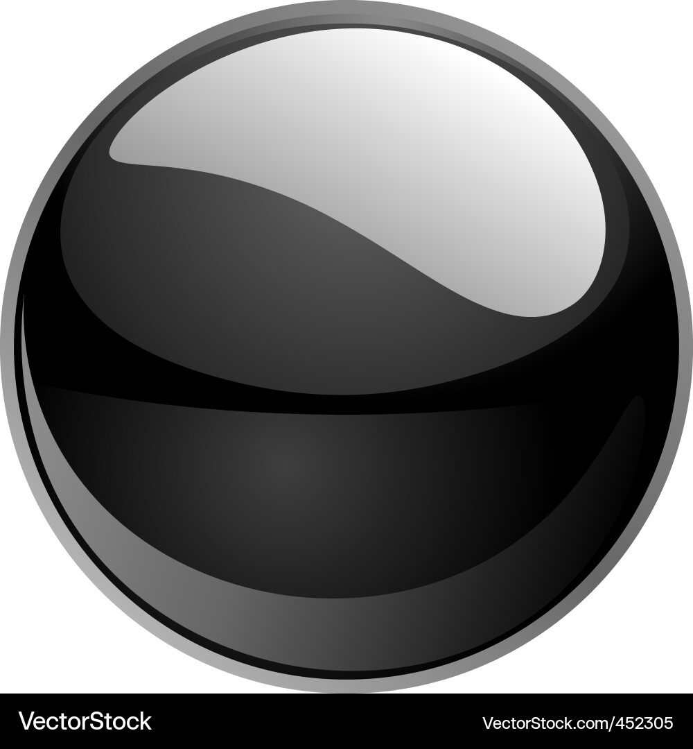 Shiny Black Sphere Button vector image