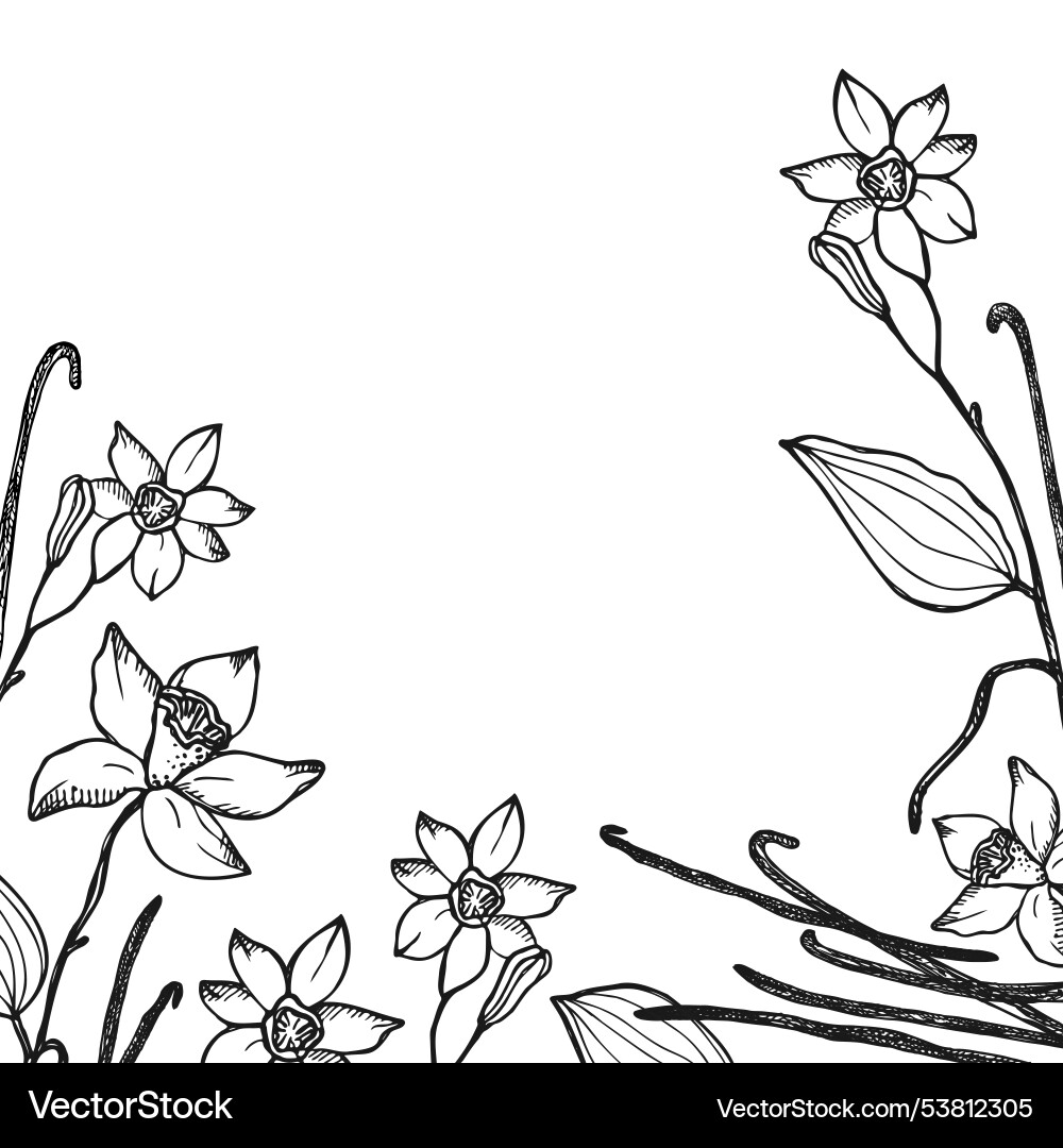 Vanilla label template background for text vector image