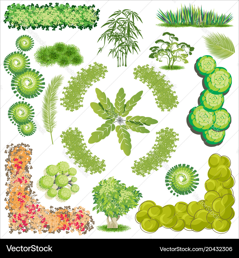 Diverse Collection of Trees and Plants vector image