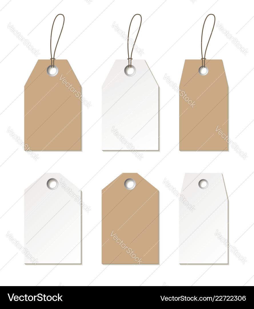 Empty Label Templates Set vector image