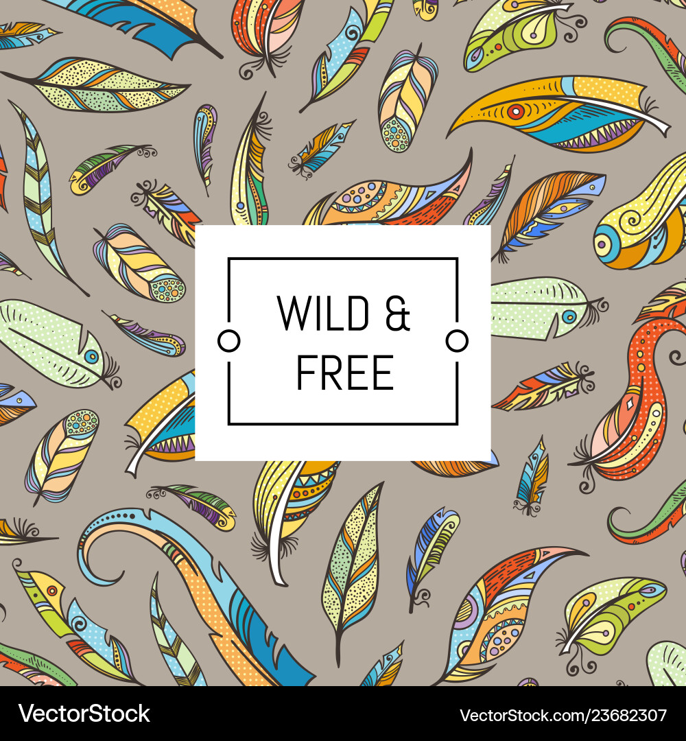 Bohemian Feather Pattern vector image