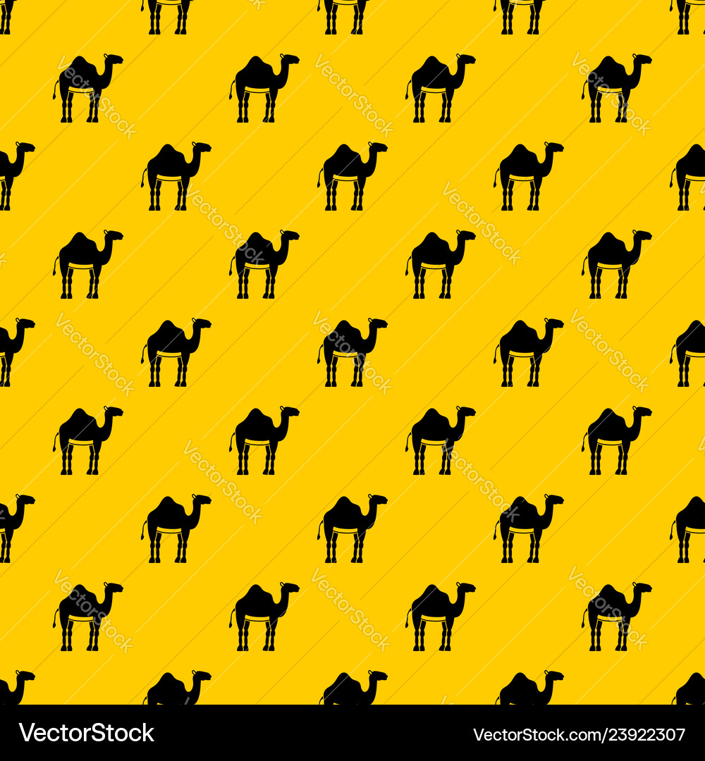 Camel pattern Camel pattern vector image