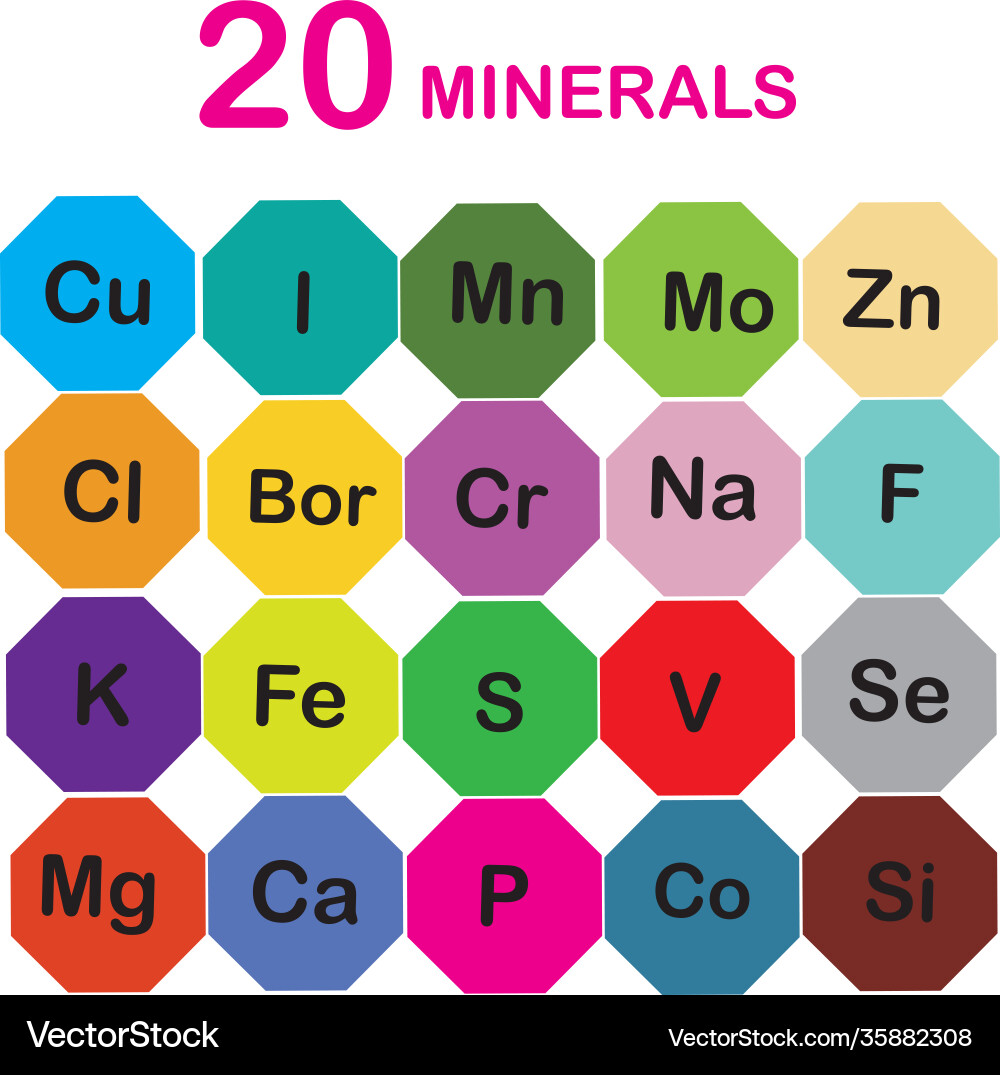 Minerals microelements and macro elements useful Minerals microelements and macro elements useful vector image