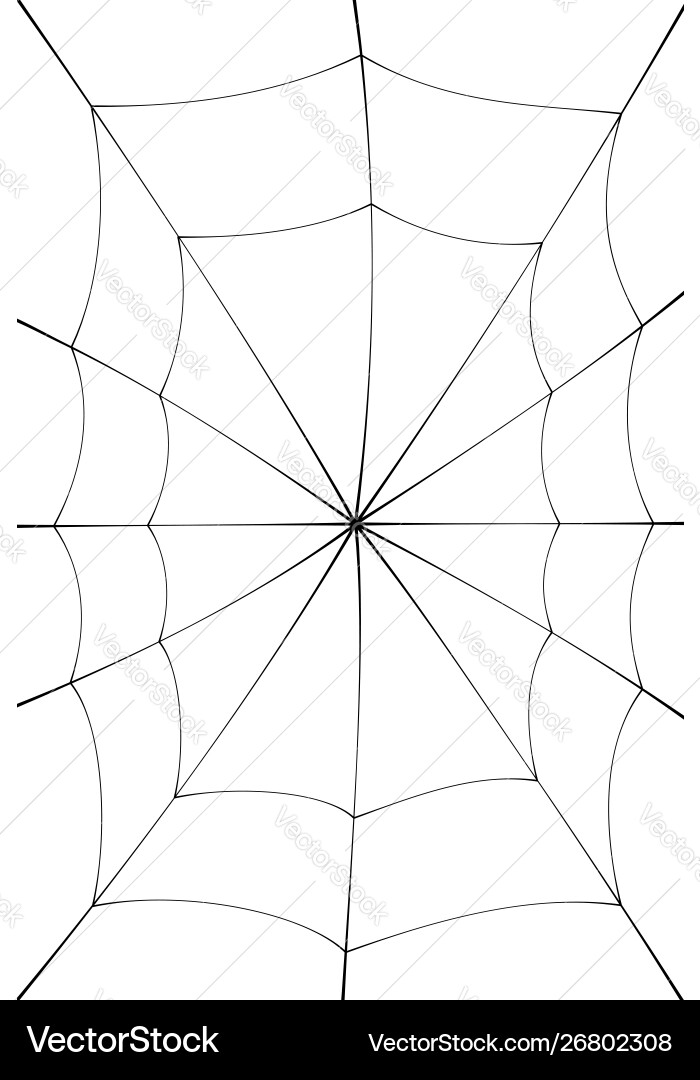 Spider web cartoon black cobweb element isolated Spider web cartoon black cobweb element isolated vector image